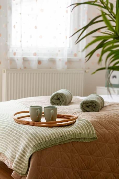 Family Lux Lounge In Voeroesmarty Street By Nw Apartment Будапеща Екстериор снимка